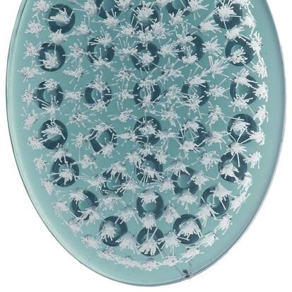 brosse-de-bain-multicolore