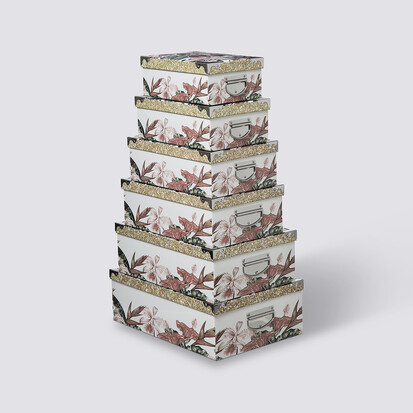 6 boites de rangement, multicolore Box'