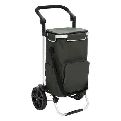 chariot-de-course-2-roues-vert