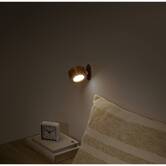 Lampe led amovible aimantée, usb, marron