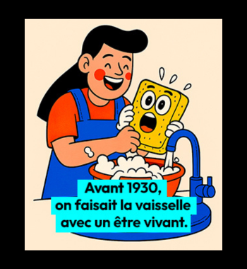 Design sans titre - 2026-06-03T113504.897