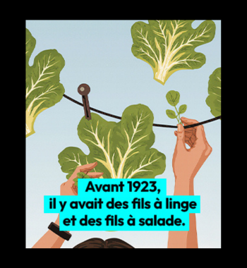 Design sans titre - 2026-06-03T114052.778