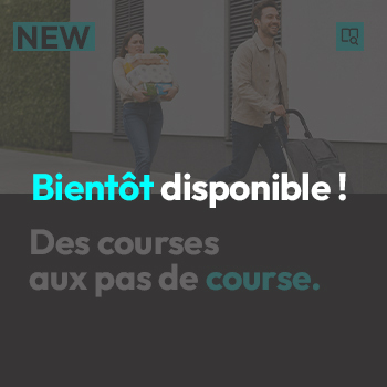 Article  chariot de course  miniature hompage   350x350 